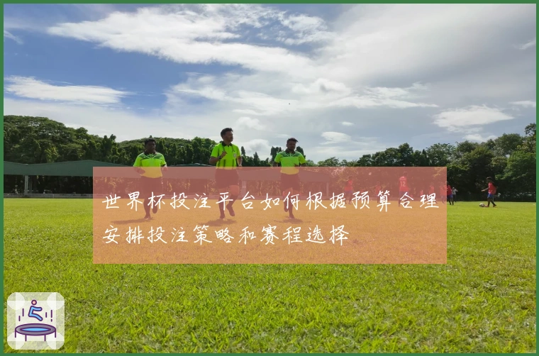 世界杯投注平台如何根据预算合理安排投注策略和赛程选择