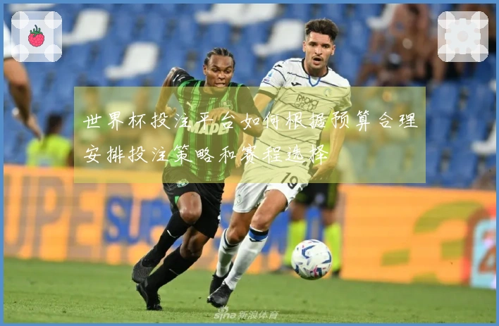 世界杯投注平台如何根据预算合理安排投注策略和赛程选择